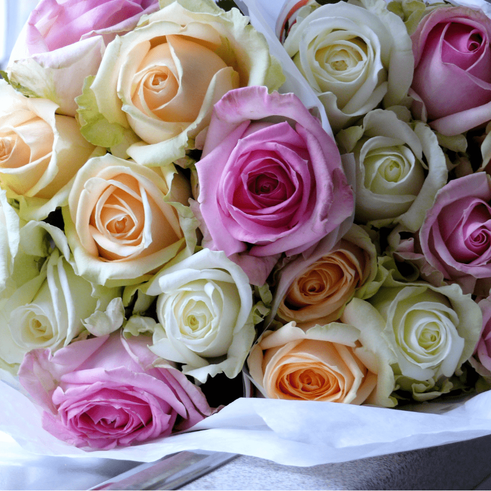 Premium Rainbow Garden Roses Luxury Gift Set - Flowers, Chocolates