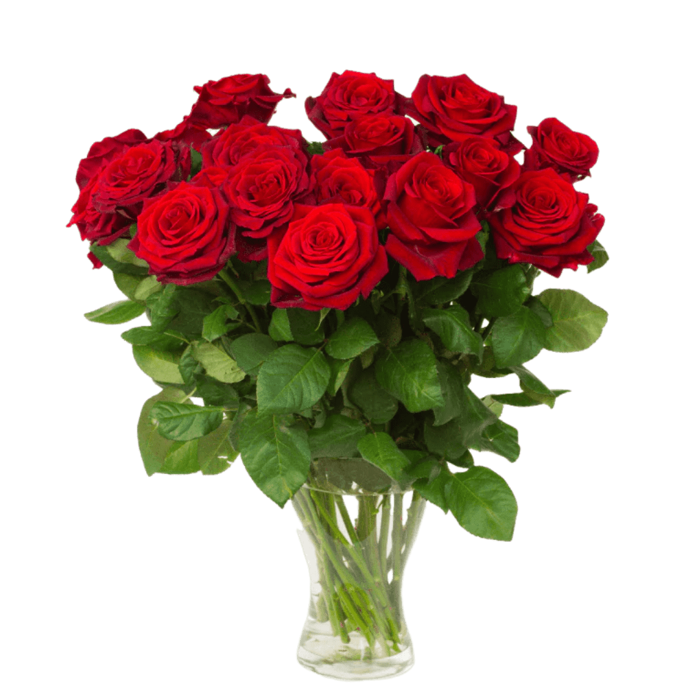 Ultra-Premium Red Roses with Chocolate Box